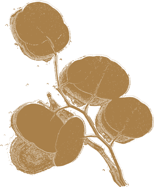 henk-hoving-natuurgenezer-blad-beige